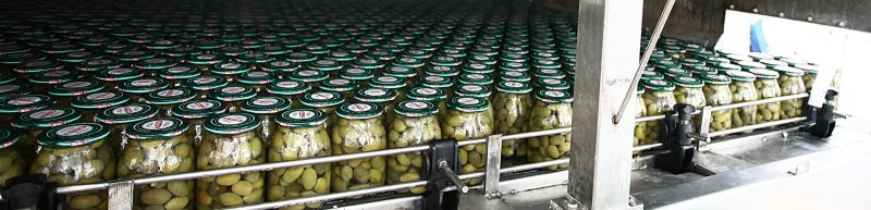 Aceitunas verdes en conserva, aceite salado de 1Kg, 1000g, verde en lata, con piedra vaporizada, Brc Ifs Sedex