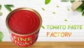 Pasta de tomate italiana 70g